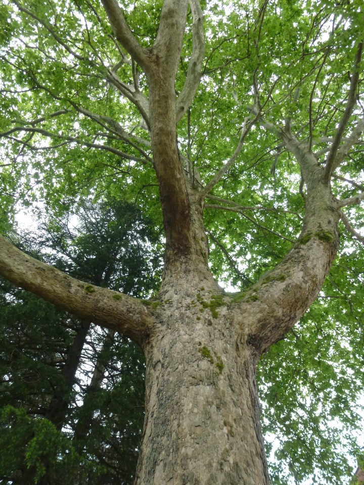 Сочи-Адлер: Южное Взморье - виртуальное путешествие по территории санатория