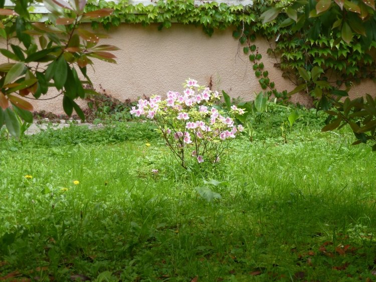 Сочи-Адлер: Южное Взморье - Мои любимые куколки на отдыхе