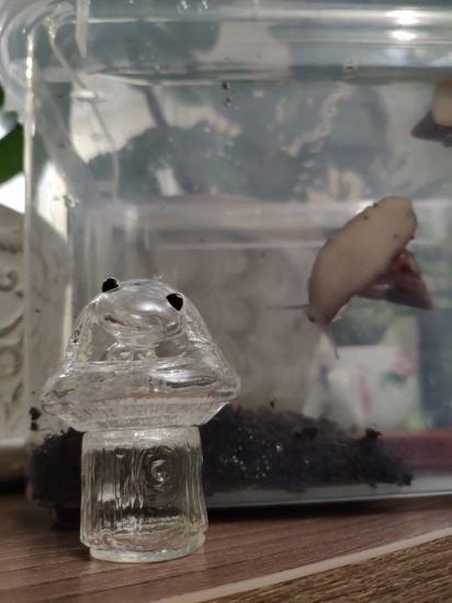 Найди меня, если сможешь — Фигурки Studio (фото 3)