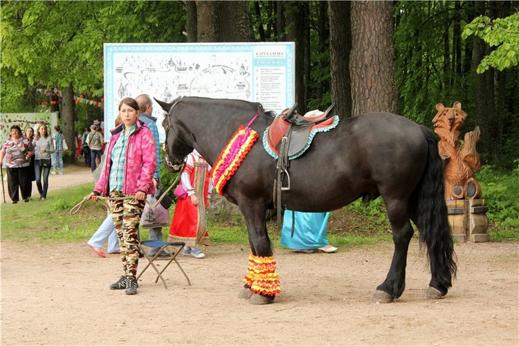 "Троицкие гуляния" в Василёво, 2017 год. Архитектурно-этнографический музей под открытым небом "Василёво"