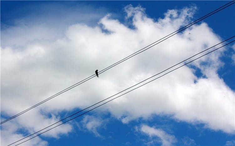 Я к Вам лечу воспоминаньем...Пушкинский праздник поэзии в Берново, 2019 год (фото 9)