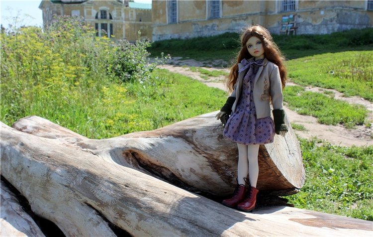 Подарок для Бенни | Бэйбики Подарок для Бенни — Куклы Iplehouse (Иплхаус): BJD (БЖД)