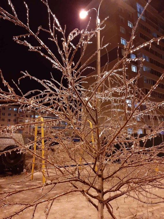 Ледяная красота на католическое Рождество в Чебоксарах, ловим солнечного зайчика... много фото | Бэйбики Ледяная красота на католическое Рождество в Чебоксарах, ловим солнечного зайчика... много фото