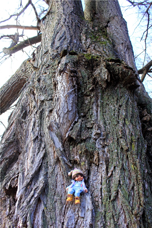 Тверской "Луксор" — Куклы Meadow dolls (Медовушки): BJD (БЖД)
