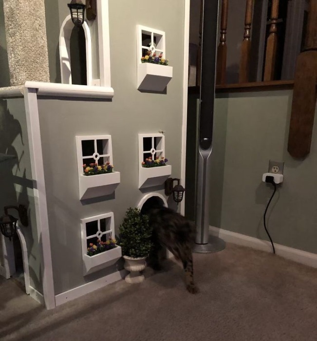 Кошкин дом в доме человека