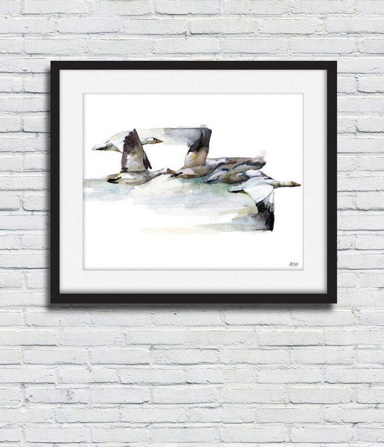 TheColorfulCatStudio - Иллюстрированная фауна by Rachel Byler