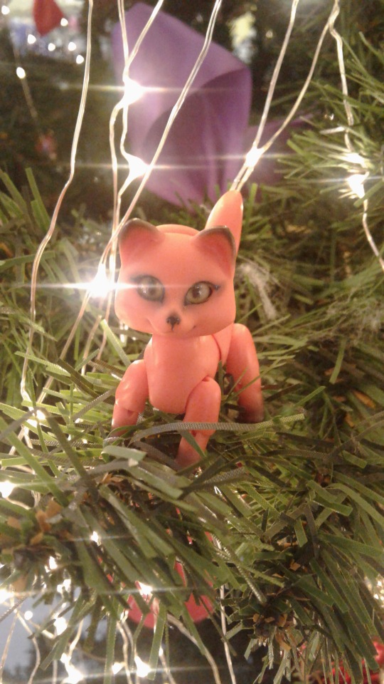 Лисёнок, мое новогоднее чудо (фото 2)