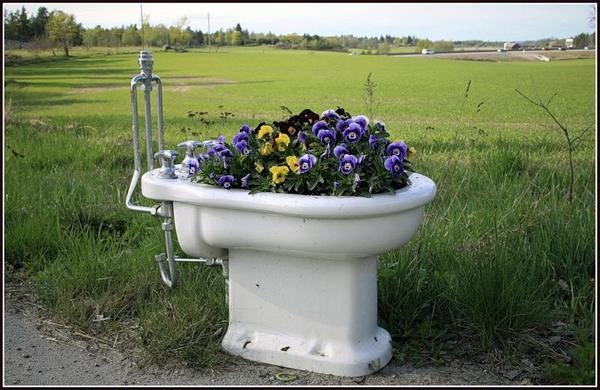 Сравнительный топик унитаза и горшка | Бэйбики Сравнительный топик унитаза и горшка (фото 5)