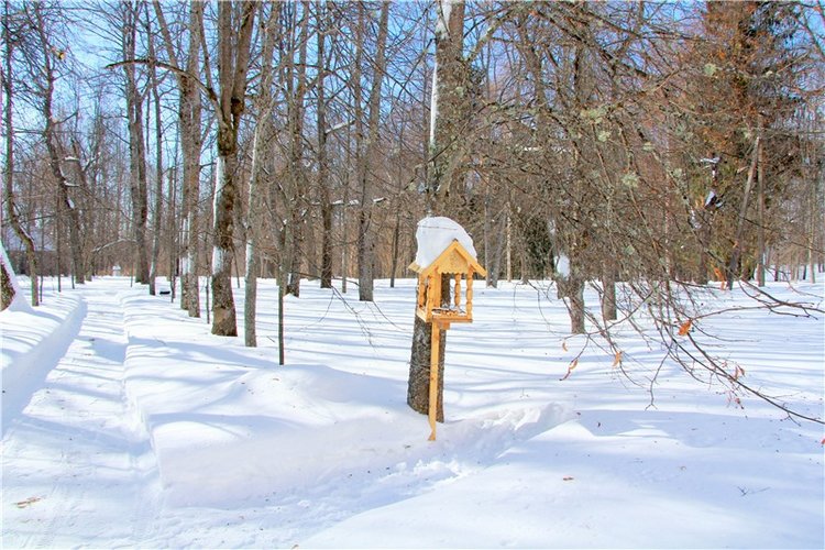 Снежный Март — Туризм и путешествия: фотоотчеты из поездок