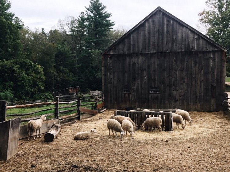 Прокатимся на машине времени? Поселение Старбридж. Новая Англия. 1830 год