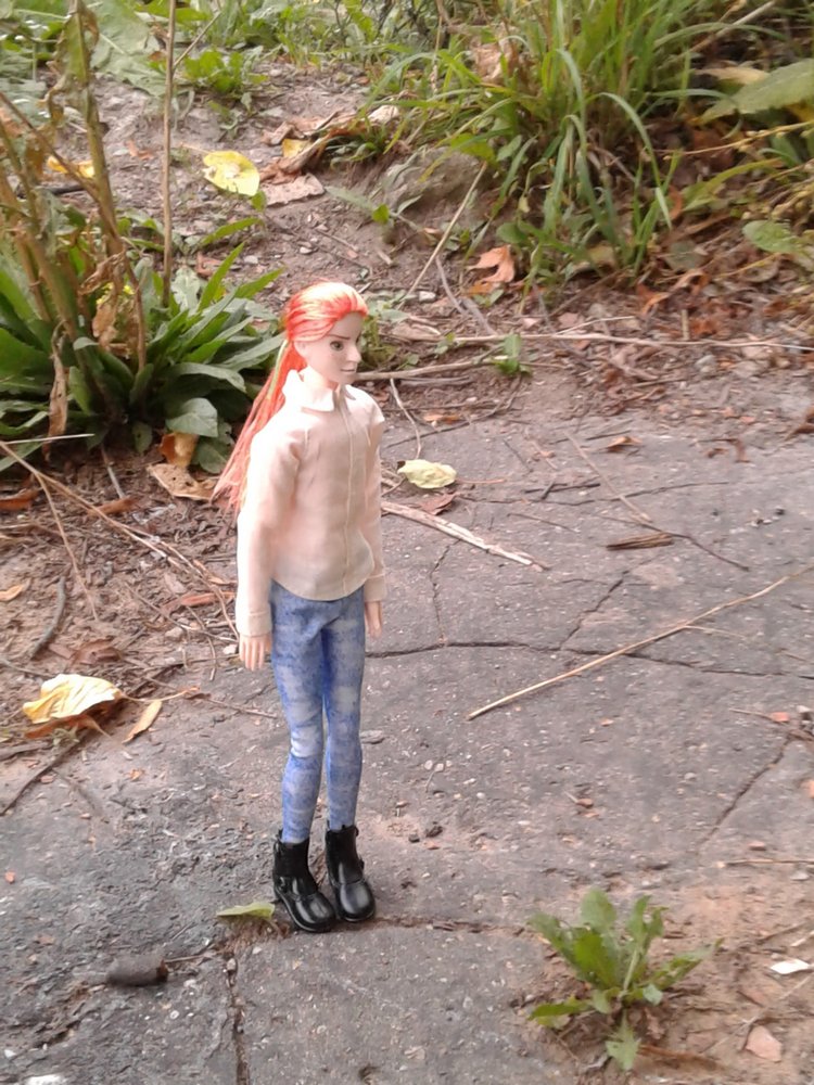 Кто же там, в малиннике — Куклы и тела Obitsu (Обитсу): 1/6