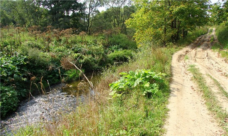Старицкая Швейцария. Путешествие с Сашей, продолжение. Уникальная кукла от Сильвии Наттерер