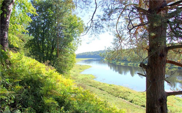 Старицкая Швейцария. Старицкие пещеры, д. Толпино, заключительная часть