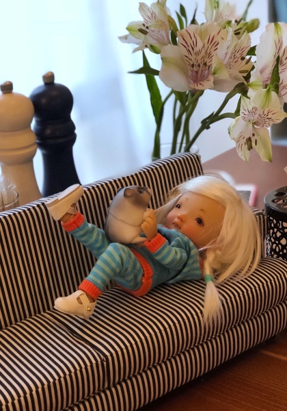 Знакомство Дрюши и Хомки — Куклы Irrealdoll (Ирреалдолл): BJD (БЖД) (фото 9)