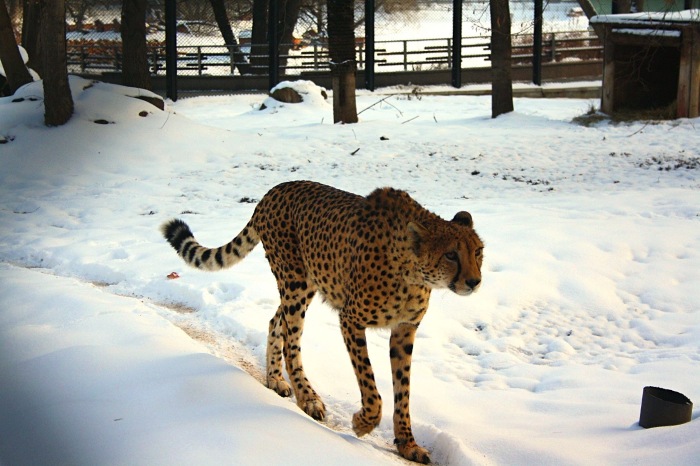 Московские каникулы. Часть 1