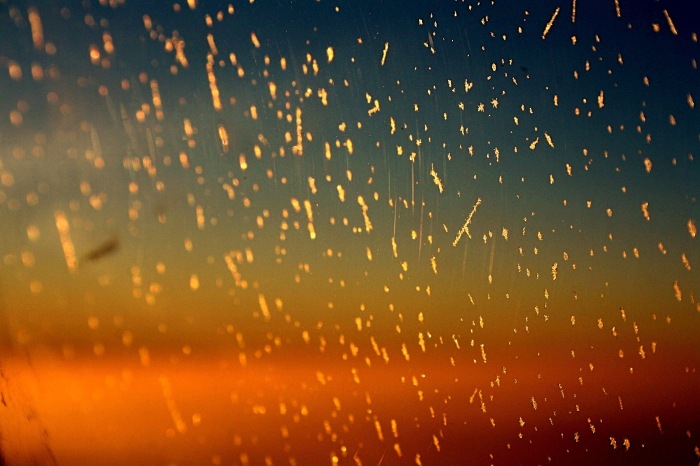 Московские каникулы. Часть 1 (фото 5)