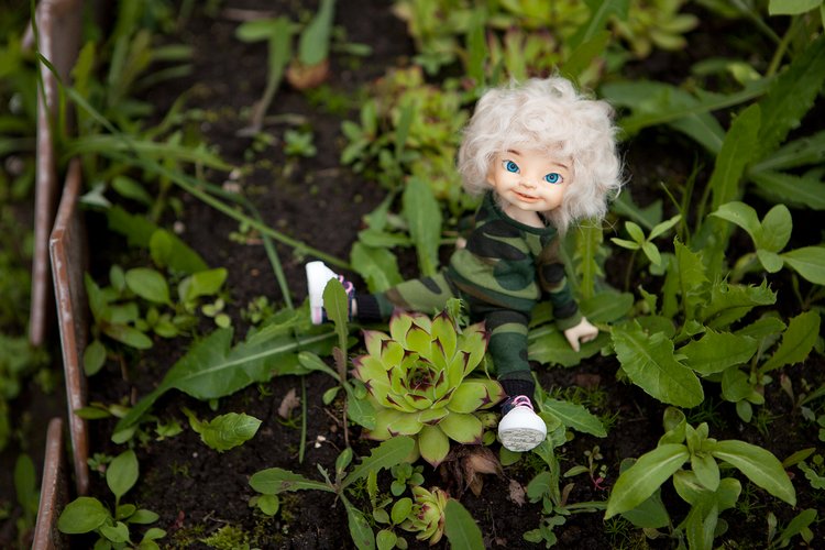 Поваляшки в цветах — Куклы Fairyland (ФэйриЛэнд): BJD (БЖД)