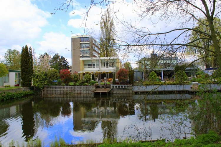 Цветущая Сакура. Прогулка по парку с Алисой. Весенние зарисовки