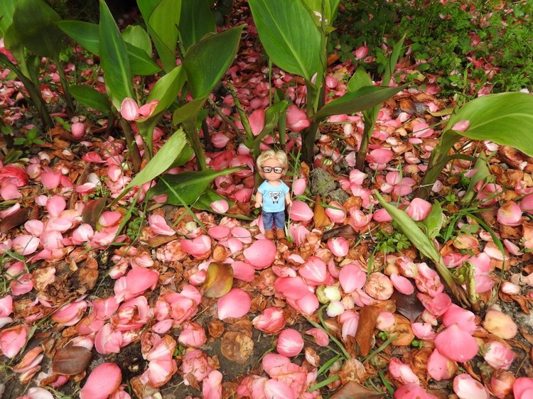 Сочи-Адлер: Южное Взморье - Мои любимые куколки на отдыхе