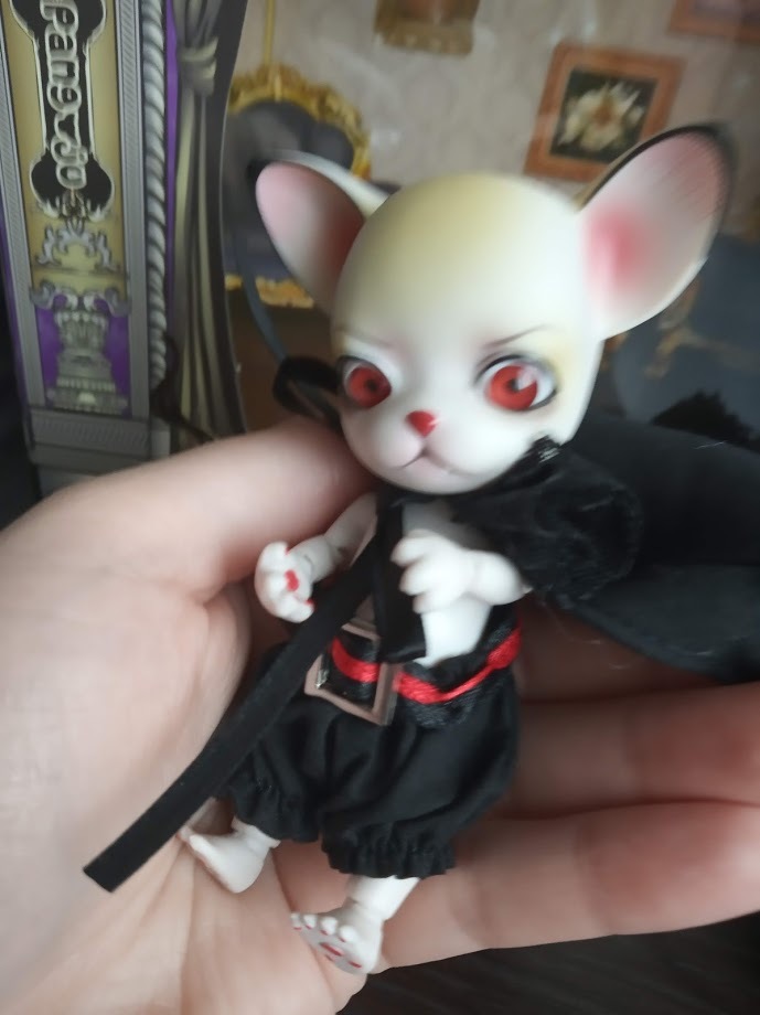 Новый житель нового формата (фото 3)