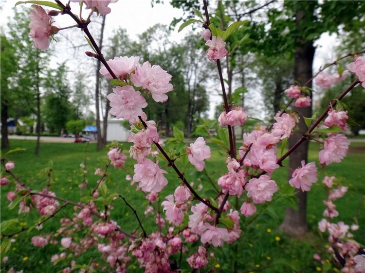 Милый мой город. Прогулка по Твери, заключительная часть