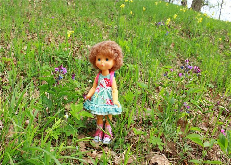 Женя-путешественница — Советские винтажные куклы (СССР): Ленигрушка