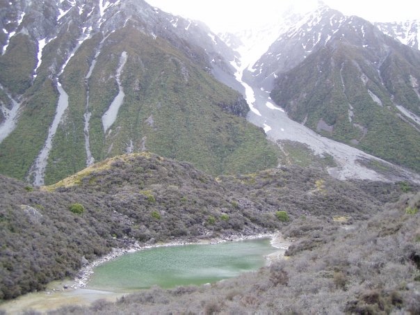 Увлекательное путешествие по Новой Зеландии