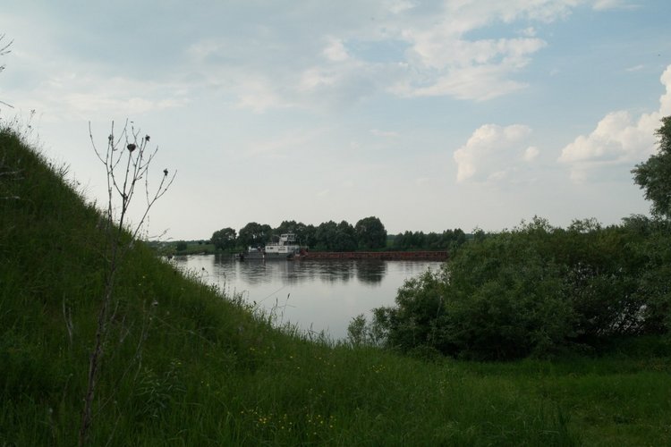 На пристани — Куклы Kidz'n'Cats (Соня Хартман): шарнирные 46 см (фото 6)