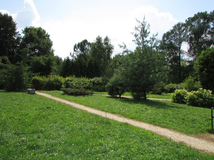 Малышня на прогулке в Бирюлёвском дендропарке