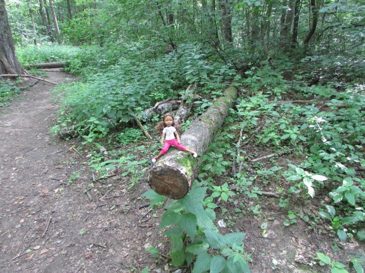 Веселое путешествие по Парку Измайлово