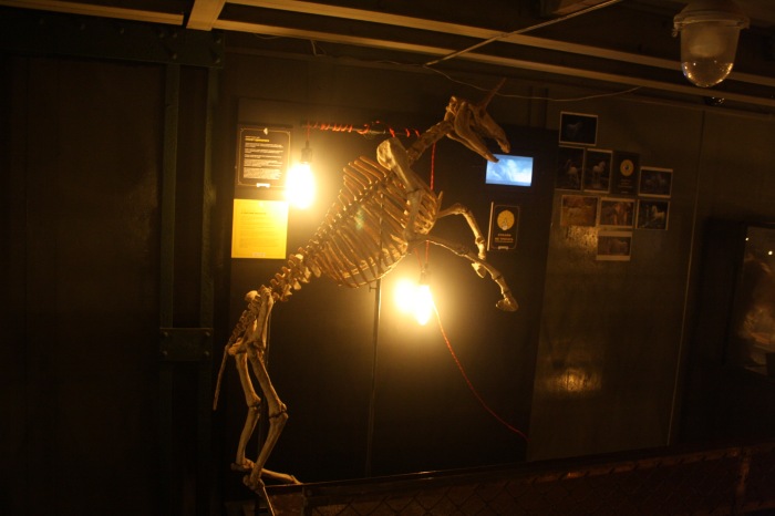 Петербург. Музей НЕправды (18+). Часть 1