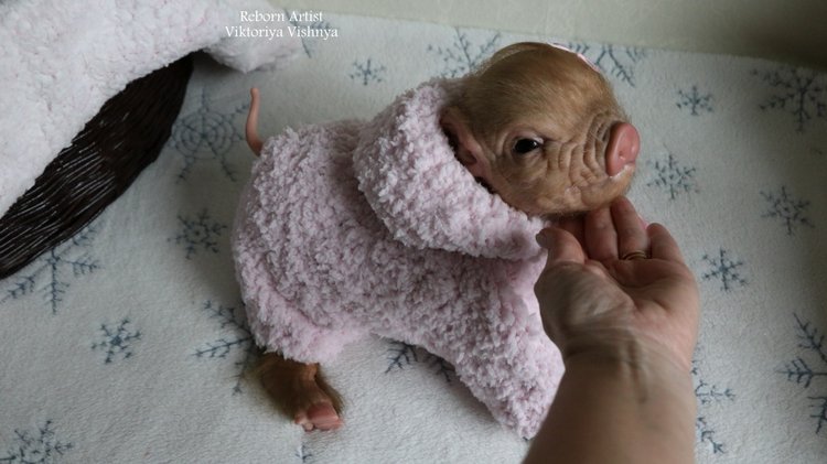 Поросенок Мила... куколка реборн Виктории Вишни
