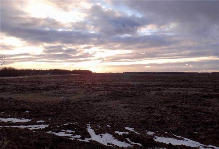 23 февраля - расцвели синие подснежники