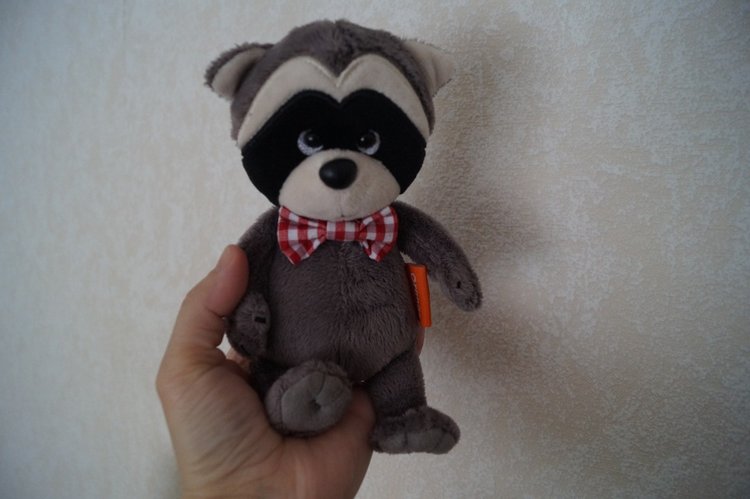 У Агаши много новеньких! Жители надкроватных полочек (фото 2)