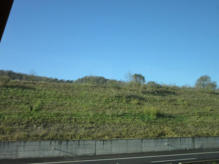 До пандемии. Путешествие по Италии, часть 1 (Кьянти, Сиена) (фото 7)