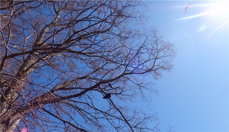 Просто Весна — Красивая природа и цветы: фото пейзажей