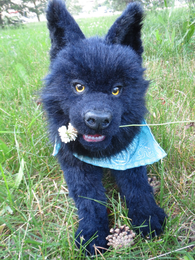 Мой домашний волчок — Домашние фото авторских игрушек: Тедди