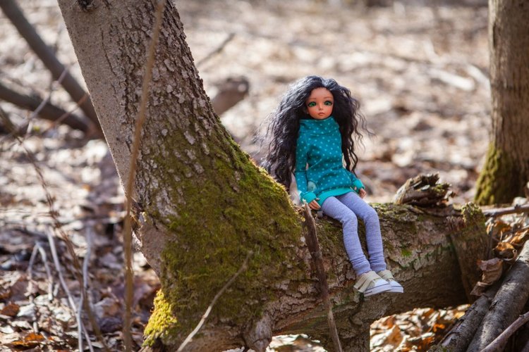 Масафира в урочище Юрцево (фото 2)