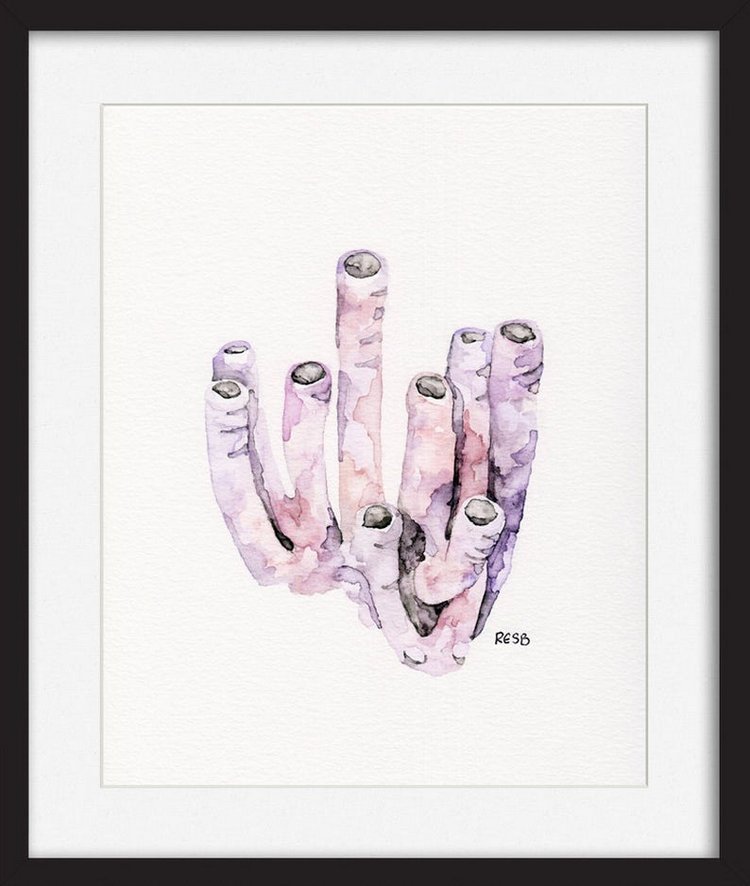 TheColorfulCatStudio - Иллюстрации подводного мира by Rachel Byler