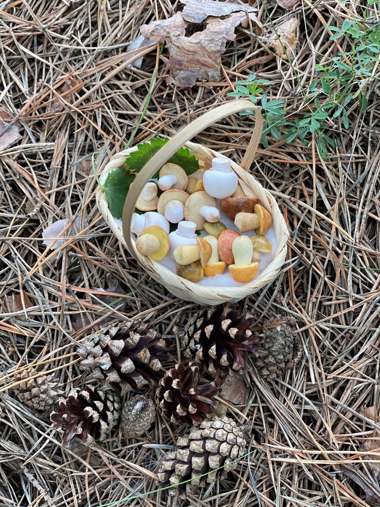 Как Варя ходила за грибами. Fabbi Chibbi Meadow dolls | Бэйбики Как Варя ходила за грибами. Fabbi Chibbi Meadow dolls