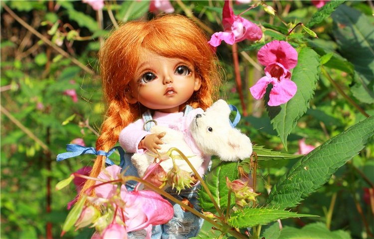 Сентябрьское путешествие в Старицу, четвёртая часть