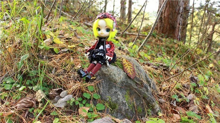 Dal Hangry на Волге — Куклы Pullip (Пуллип) (фото 6)