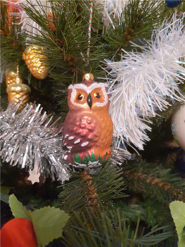 Новогоднее Волшебство 2021 года