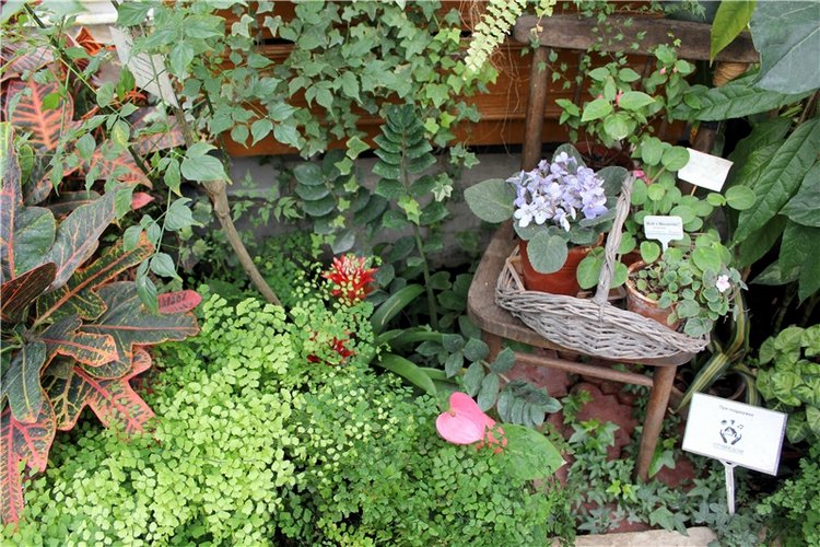 Тверской Ботанический Сад, продолжение | Бэйбики Тверской Ботанический Сад, продолжение