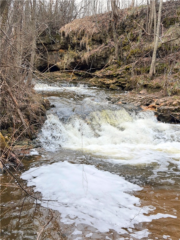 Путешествие Имани в ПанИку