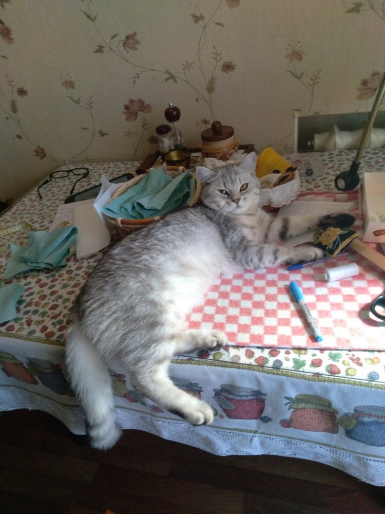 Гостей с такими подарками надо гнать поганой метлой! Или не надо