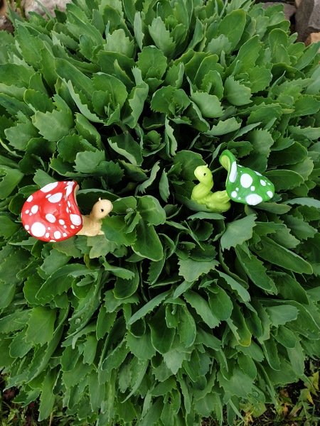 Лягушка Ванда и все-все-все (фото 10)