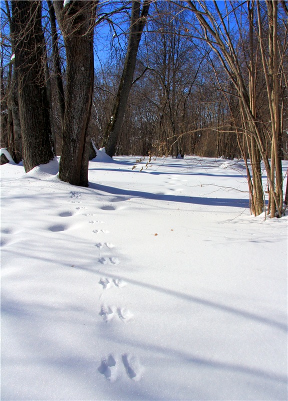 Снежный Март — Туризм и путешествия: фотоотчеты из поездок