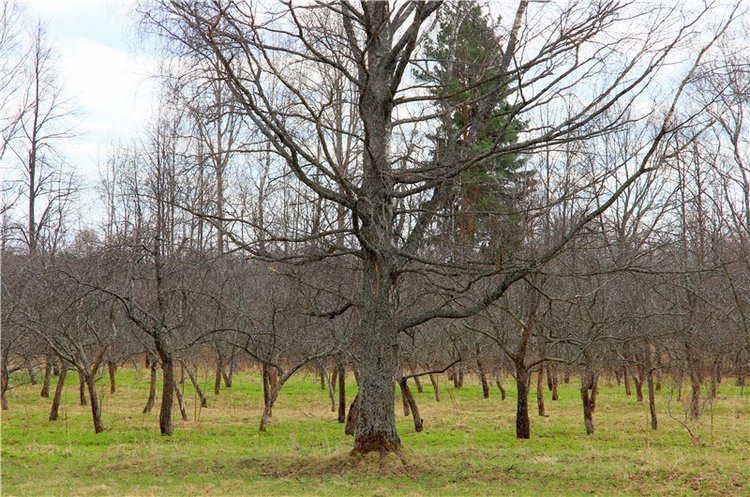 Усадьба Чукавино, Тверская область