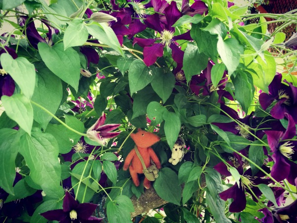 Большая дружба маленьких друзей (фото 3)